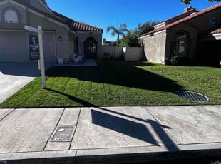 Bree N.'s lawn care service result