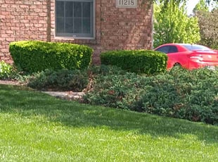 Michael B.'s landscaping services service result