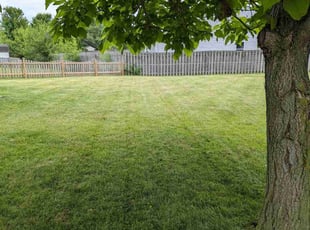 Oluwabunmi A.'s grass cutting service result