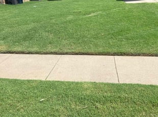 Tracy R.'s turf maintenance service result