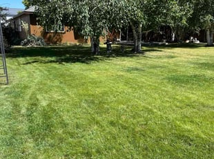 Jacob G.'s grass cutting service result