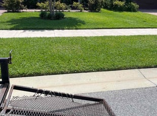 Melissa D.'s grass maintenance service result