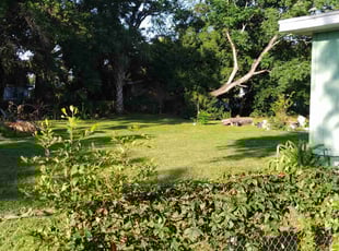 Karen H.'s turf maintenance service result