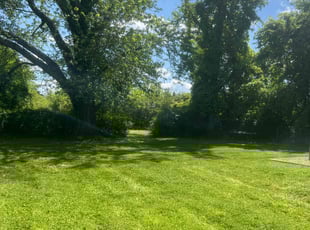 Tyson D.'s turf care service result