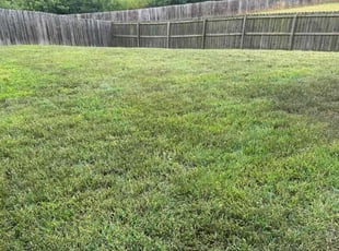 Rene H.'s turf maintenance service result