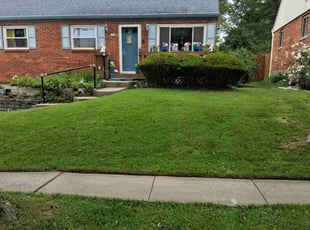 Brittany W.'s grass maintenance service result