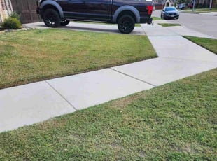 Richard D.'s lawn care service result