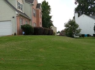 Cindy B.'s Bush Trimming service result