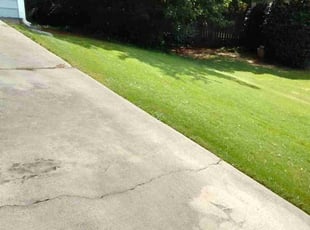 Walter L.'s lawn care services service result