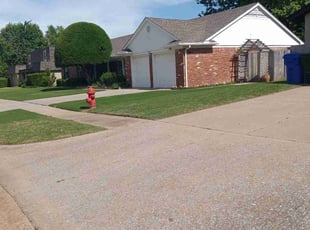 Michael L.'s lawn care service result