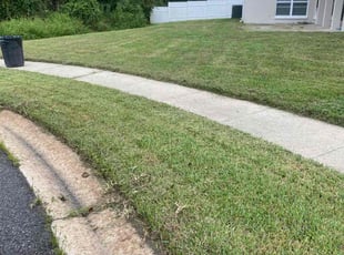 Pam E.'s lawn maintenance service result
