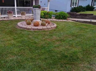 Karen I.'s grass maintenance service result