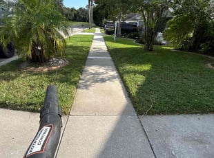 Stephen S.'s yard care service result