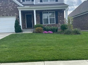 Luis V.'s Bush Trimming service result