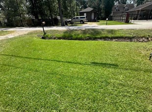 Stephen K.'s lawn maintenance service result