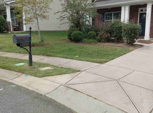 Monica A.'s grass maintenance service result