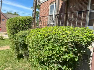 Bobbie M.'s Bush Trimming service result