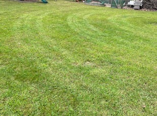 Leigh K.'s lawn maintenance service result
