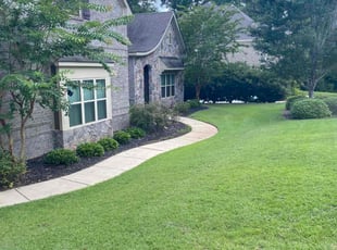 Corey G.'s lawn maintenance service result
