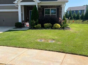 Charmaine C.'s grass maintenance service result