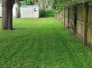 Donna K.'s grass maintenance service result