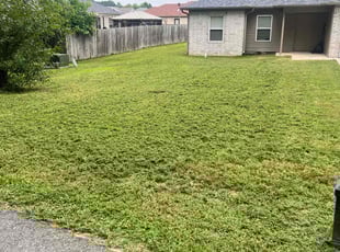 Milton F.'s lawn service service result