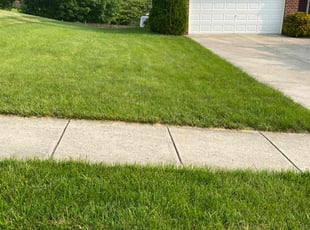 James S.'s lawn care services service result