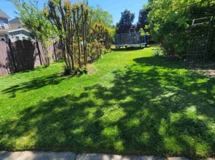 Stephanie R.'s lawn care service result