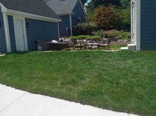 Ravi C.'s grass cutting service result