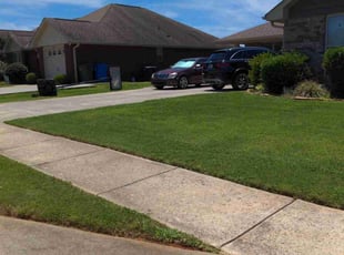 Robert K.'s lawn care services service result