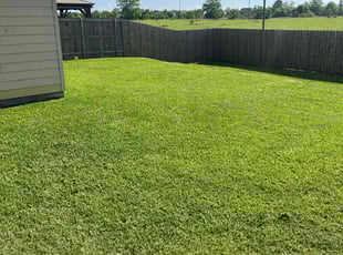 Carl S.'s lawn care services service result