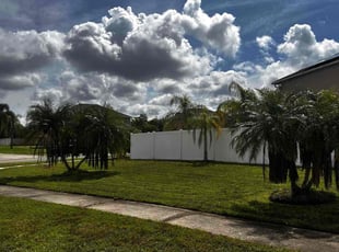 Elizabeth H.'s lawn maintenance service result
