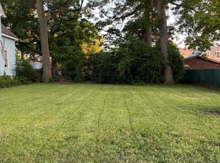 Gael A.'s grass maintenance service result
