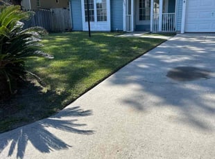 Shankar B.'s lawn maintenance service result