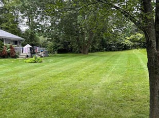 Thomas J.'s turf maintenance service result
