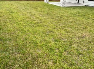 William B.'s lawn maintenance service result
