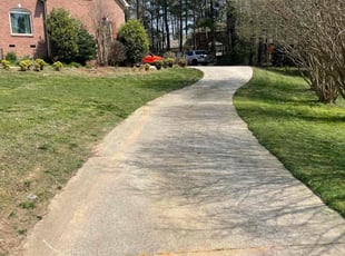 Matthew K.'s turf care service result