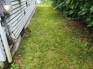 Laurie K.'s lawn maintenance service result