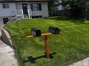 Aleah B.'s lawn care services service result