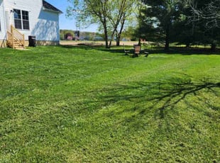 Susan R.'s lawn care service result