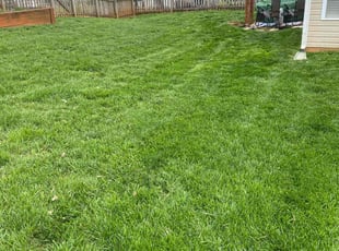 Josh M.'s yard work service result