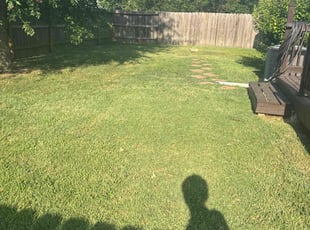 Sean B.'s grass cutting service result