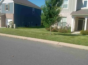 Ian K.'s turf maintenance service result