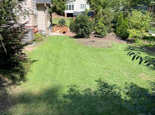 Mary P.'s lawn maintenance service result