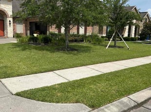 Carol R.'s lawn service service result