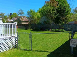 Jane P.'s lawn maintenance service result