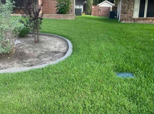 Roberto R.'s lawn care services service result