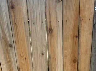 James J.'s turf maintenance service result