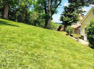 Chalice S.'s lawn care services service result