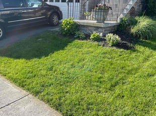 Danielle S.'s lawn service service result